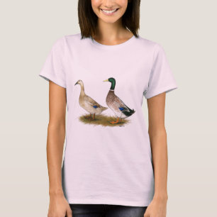 Camiseta Patos:  Harlequin de plata Galés