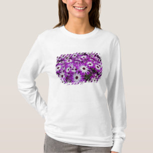 Camiseta Patrón de flores, Jardines Kuekenhof, Lisse,