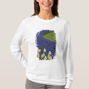 Camiseta Patrón de jardín de flores de jacinto de uva y 2