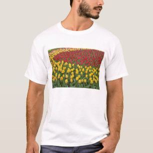 Camiseta Patrón de jardín de tulipanes, Jardines Keukenhof,