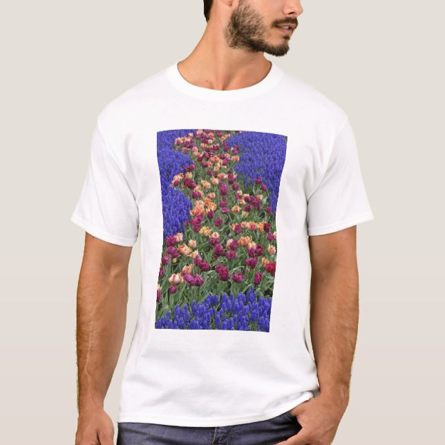 Camiseta Patrón de tulipanes y flores de jacinto de uva, (Anverso)