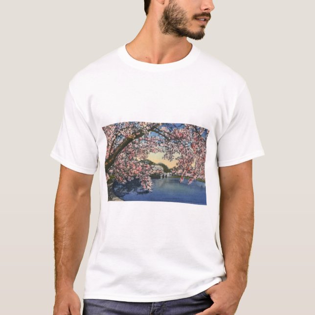 Camiseta PAU43 Basin.tif de marea (Anverso)