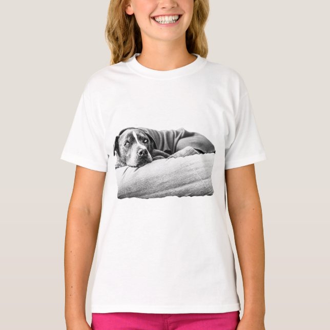 Camiseta Pausa de Fireside (Anverso)