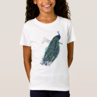 Pavo azul con hermosas plumas de cola