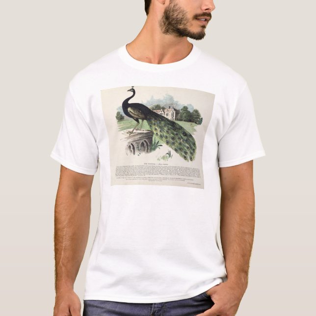 Camiseta Pavo real (Anverso)