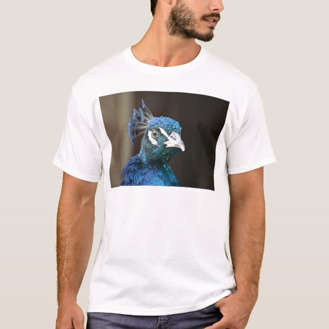 Camiseta pavo real (Anverso)