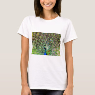 Camiseta Pavo real