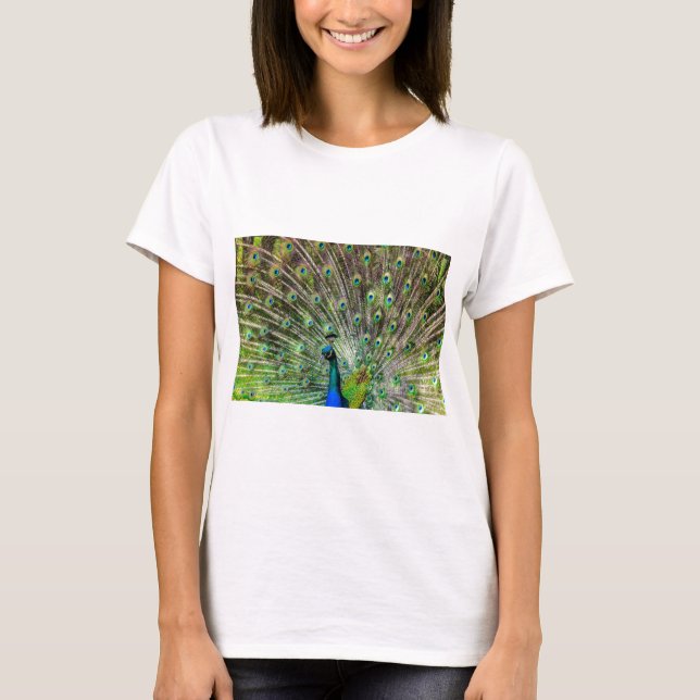 Camiseta Pavo real (Anverso)