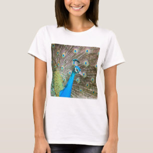 Camiseta Pavo real con plumas fuera - Ave macho - Fotografí