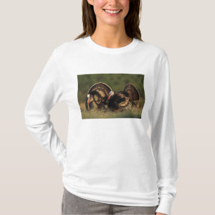 Camiseta Pavo silvestre, Meleagris gallopavo,machos