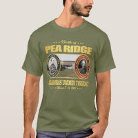 Pea Ridge (Elkhorn Tavern) FH2