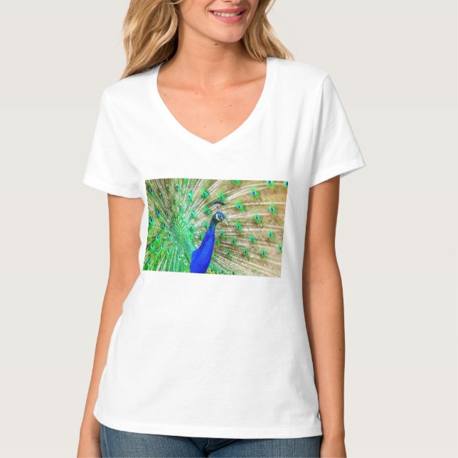 Camiseta Peacock (Anverso)