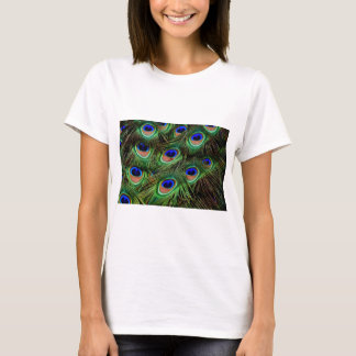 Camiseta Peacock Feathers