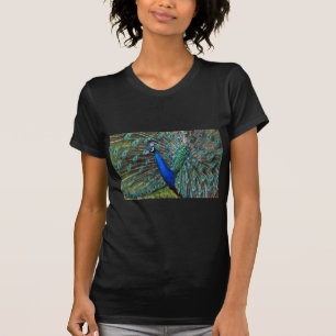 Camiseta Peacock masculino colorido