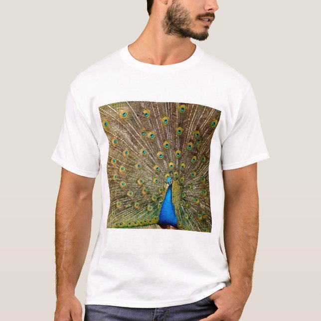 Camiseta Peacock Tail Feathers (Anverso)
