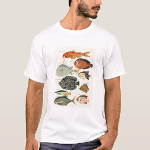 Camiseta Peces
