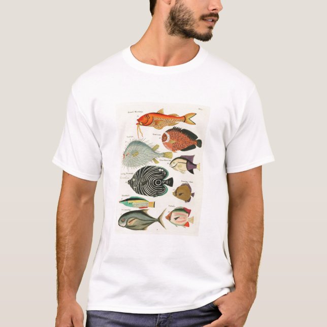 Camiseta Peces (Anverso)