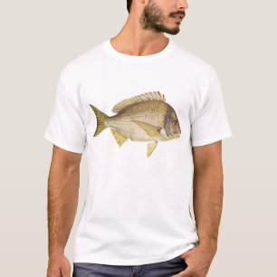 Camiseta Peces - Bream negro - Mylio australis