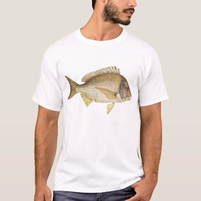 Camiseta Peces - Bream negro - Mylio australis (Anverso)