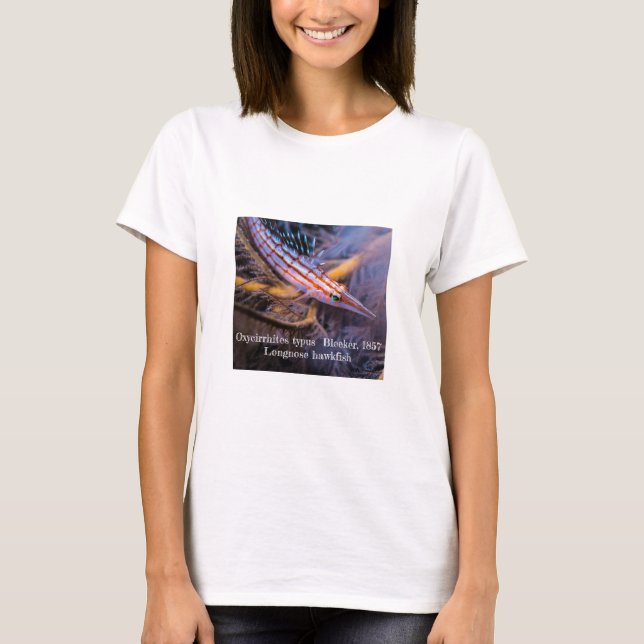 Camiseta Peces halcón de nariz larga (Anverso)