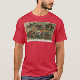 Camiseta Peces ornamentales de Victoria