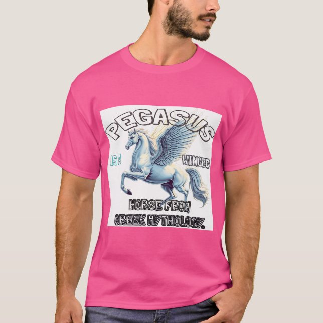 Camiseta Pegasus (Anverso)