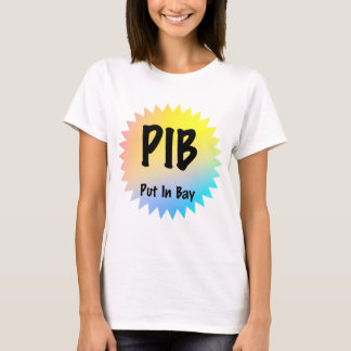 CAMISETA PEGATINA PIB
