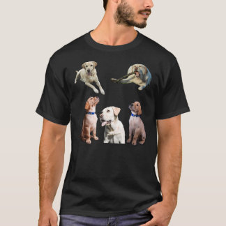 Camiseta Pegatinas recuperadores de labrador amarillo