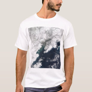 Camiseta Penacho de la ceniza de la reduda del soporte,