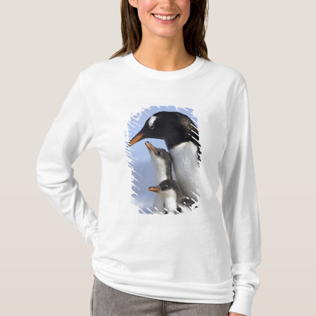 Camiseta Península Antártica, Puerto Neko, Gentoo (Anverso)