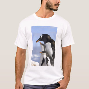 Camiseta Península Antártica, Puerto Neko, Pingüino de Gent
