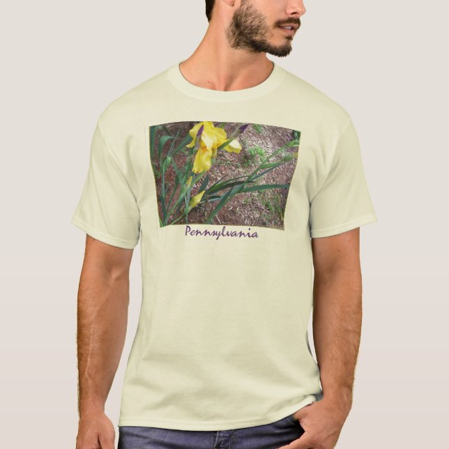 Camiseta Pennsylvania -- Iris (Anverso)