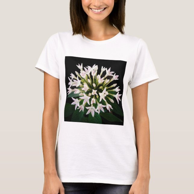 Camiseta Pentas blancas (Anverso)
