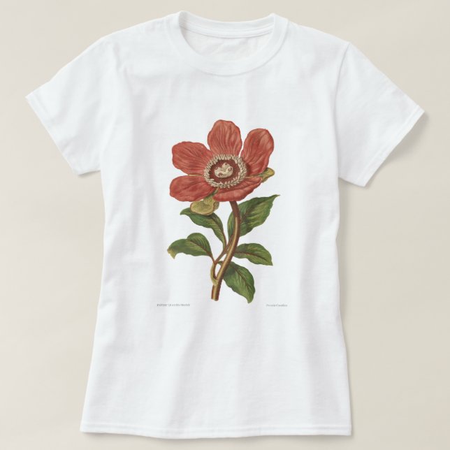 Camiseta Peony, imagen botánica del Victorian antiguo (Diseño del anverso)