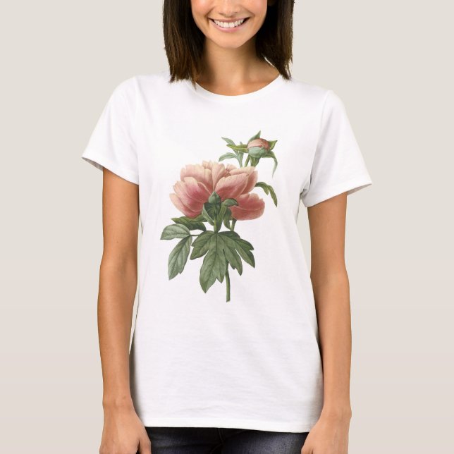 Camiseta peony (SP del Paeonia.) por Redouté (Anverso)