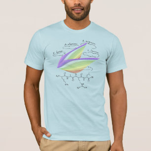 Camiseta péptido KARL, tema AUC, texto personalizado, claro