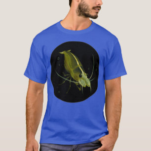 Camiseta Pequeño Amano Shrimp