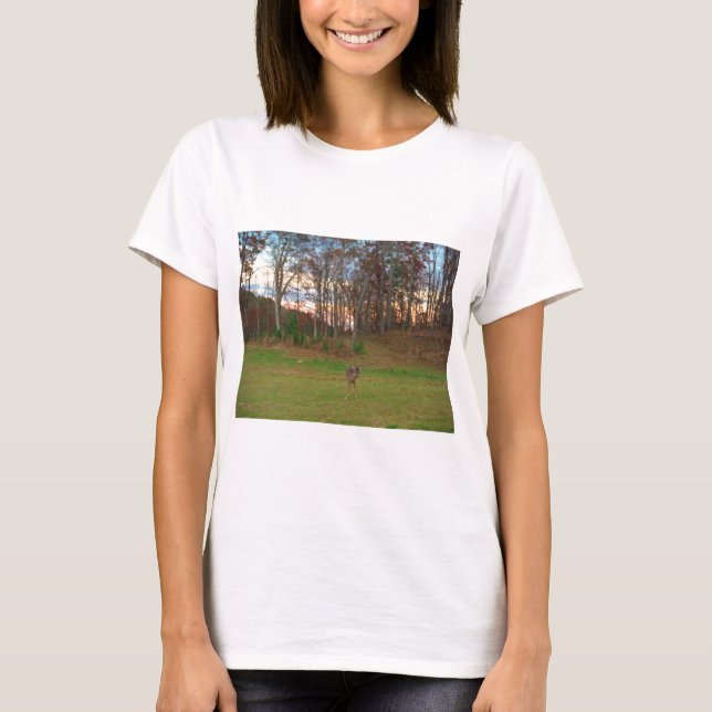 Camiseta Pequeño ciervo y un atardecer rosado (Anverso)