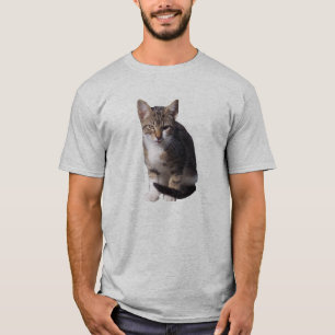 Camiseta Pequeño gatito