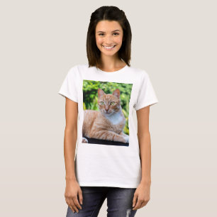 Camiseta Pequeño gatito dulce