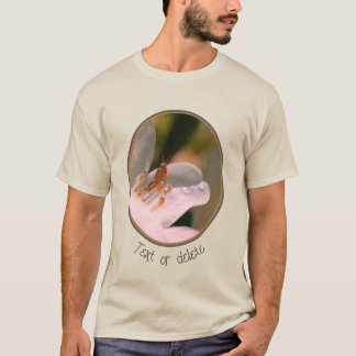 Camiseta Pequeño Grapeador En Flor Azalea Blanca