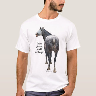 Camiseta Percheron toma una imagen