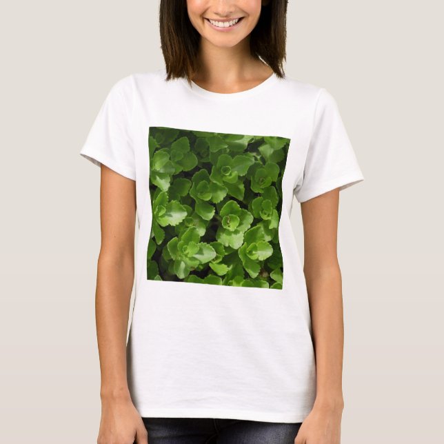 Camiseta Perdidos en hojas (Anverso)