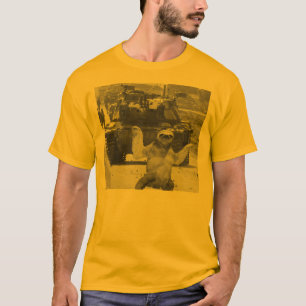 Camiseta Pereza