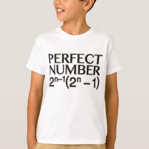 CAMISETA PERFECT_NUMBER