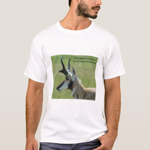 Camiseta Perfil de cabeza de gran antílope berrendo A47