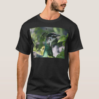 Camiseta Perfil de Peahen