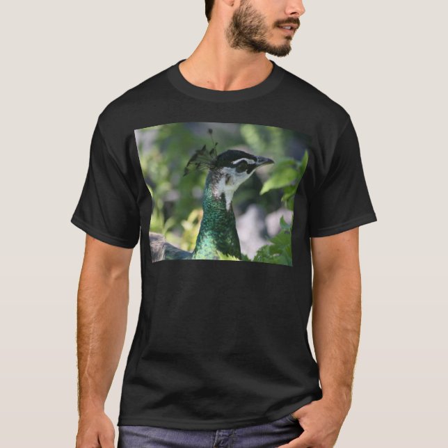 Camiseta Perfil de Peahen (Anverso)