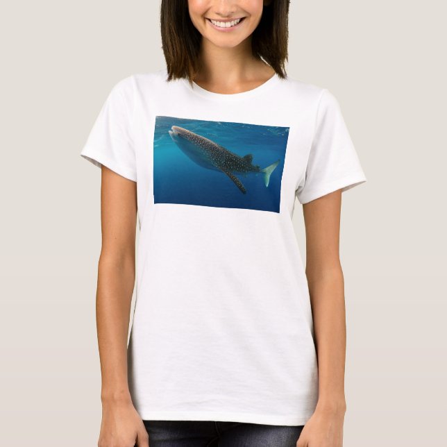 Camiseta Perfil de un tiburón ballena, Indonesia (Anverso)