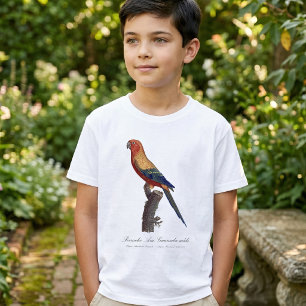 Camiseta Perico Sol, Aratinga Solstitialis